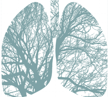 1609294257857893.png 640.png