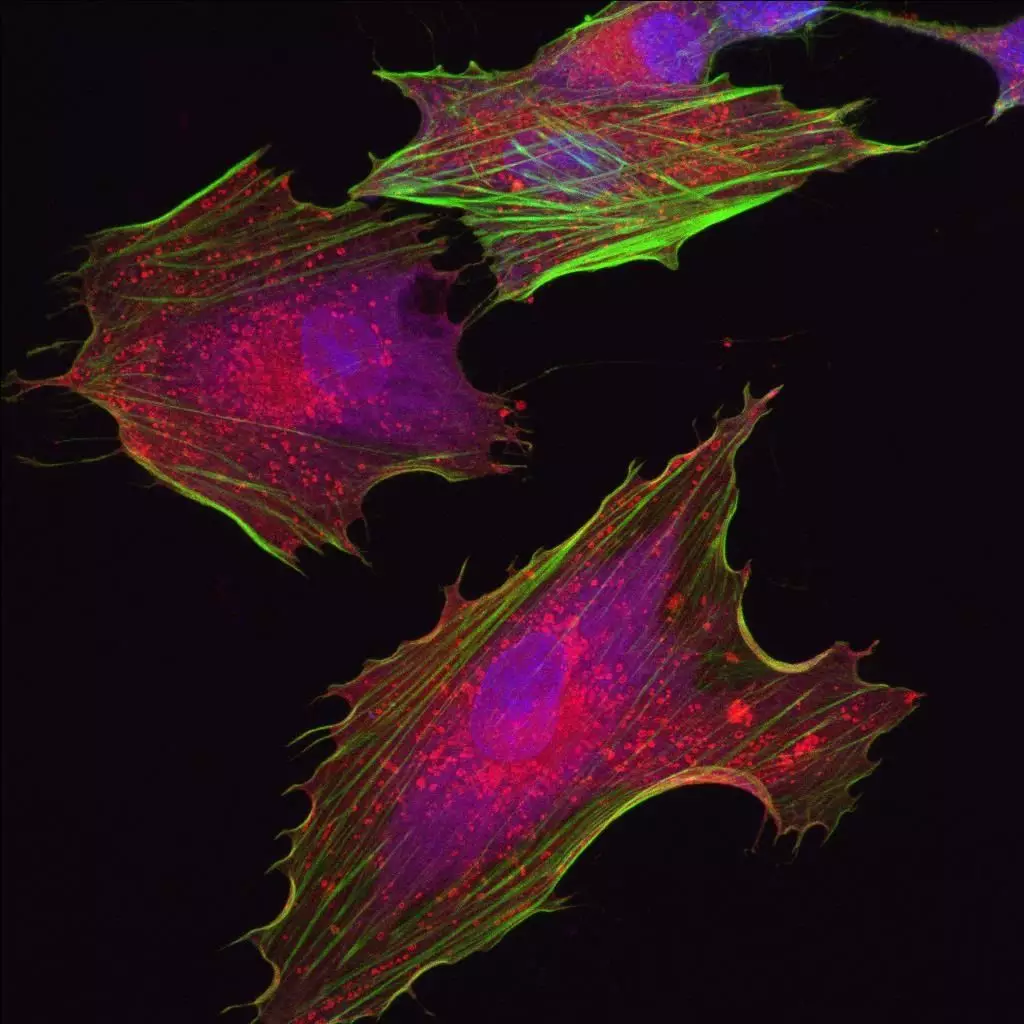 1615001594987000.png 微信图片_20210306113150.png