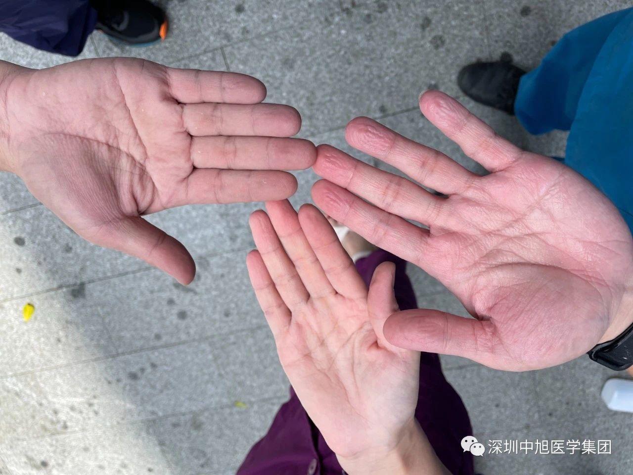 1624354028446304.jpg 10.jpg